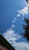 20200902_150425.jpg