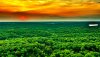 62E40997-2F6C-4A40-9A5A-A40E8001D976.jpeg