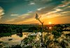 Osprey-with horizon correction-Dale.jpg