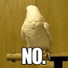 ms-gP3wgP.gif