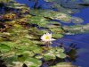 IMG_20200827_130407.jpg