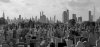 20200825_180352.jpg