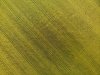 Best for Viewing - Wheat Field - Grey County - DJI_0990.JPG