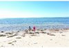 DJI_0173e.JPG