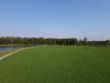 DJI_0005.jpeg