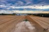Harvest 2 SM.jpg