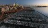 San Francisco Skyline_0384.jpg