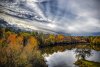 Duck Pond 1st place Photography.jpg