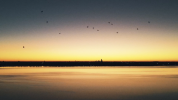 43AD5DAF-26F1-4587-BC0B-5F2A731D815D.png