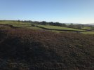 DJI_0012.JPG