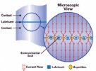 microscopic view.jpg