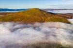 DJI_0800.jpg