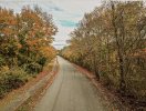 Fall Road scene-retouched by Dale .jpg