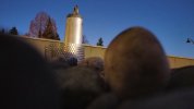 RemoteMediaFile_6619617_0_2020_12_05_17_03_50.jpeg