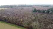 DJI_0083.JPG