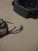 IMG_20170514_203457.jpg