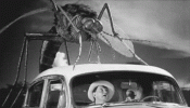 mosquito.gif