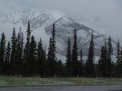 Jasper 2017.jpg