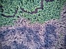 RemoteMediaFile_6553635_0_2021_01_13_17_04_34.jpg