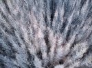 RemoteMediaFile_6553639_0_2021_01_13_17_06_40.jpg