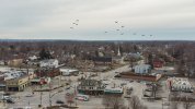 DJI_0703.jpg