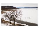 DJI_0242.jpg