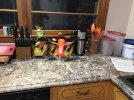 IMG_5035.JPG