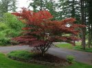 DJI_0142.jpg