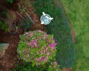 DJI_0163.jpg