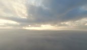 5E28D006-B79C-4E88-9DC9-8FAFF9376AF1_1_201_a.jpeg