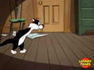 1613528640029.gif