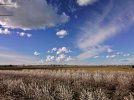 DJI_0024~3.jpg