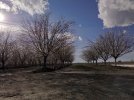 DJI_0023~2.jpg