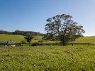 DJI_0848.jpg