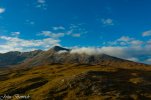 DJI_0875.jpg