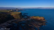 DJI_0491.jpg