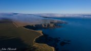 DJI_0503.jpg