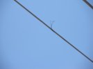 DSCN3579.JPG