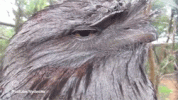349D2A64-AD99-42DB-9420-69A555B6A452.gif