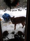 20201220_133847.jpg