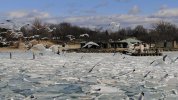 DJI_0305.00_00_46_12.Still004-4.jpg