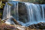 DSC_2937.JPG
