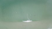 Surf-1.jpg