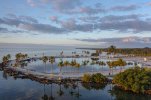 FirstLight-MathesonBeach-Miami.jpg