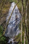 DSC_3100.JPG