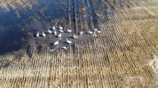 DJI_0080.JPG
