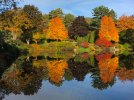 Asticou Gardens 4831_edited-1.jpg
