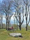 DSCN5826.LR.jpg