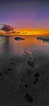 DJI_0706.jpg
