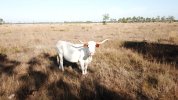DJI_0906.JPG